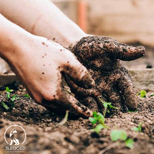 5 Genius Ways to Reuse Coffee Grounds (And Get Yours Free from 3Legged Coffee Brewery!)